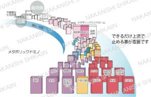 メタボリックドミノ。虫歯や歯周病がメタボリックシンドロームに繋がり、高血圧や糖尿病になり、最終的に心不全など命に関わるものに繋がっていく。