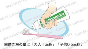 歯磨き粉の分量について